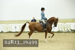 24R13_16499 proof