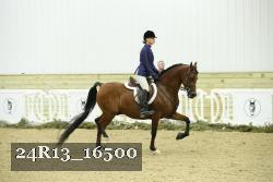 24R13_16500 proof