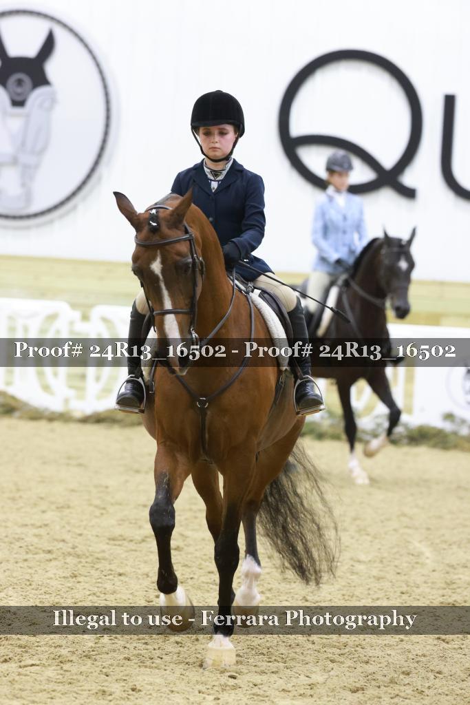 Proof 24R13_16502