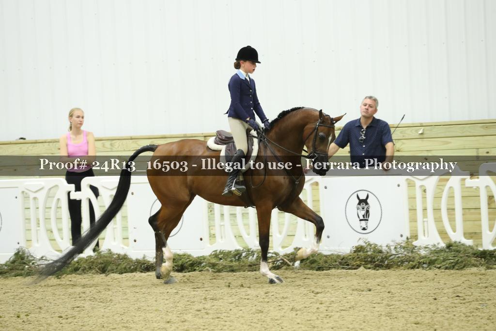 Proof 24R13_16503