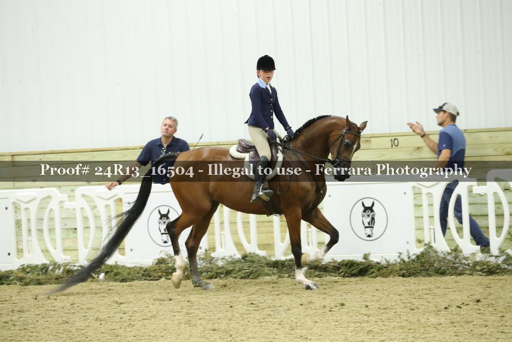 Proof 24R13_16504
