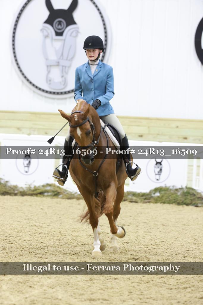 Proof 24R13_16509