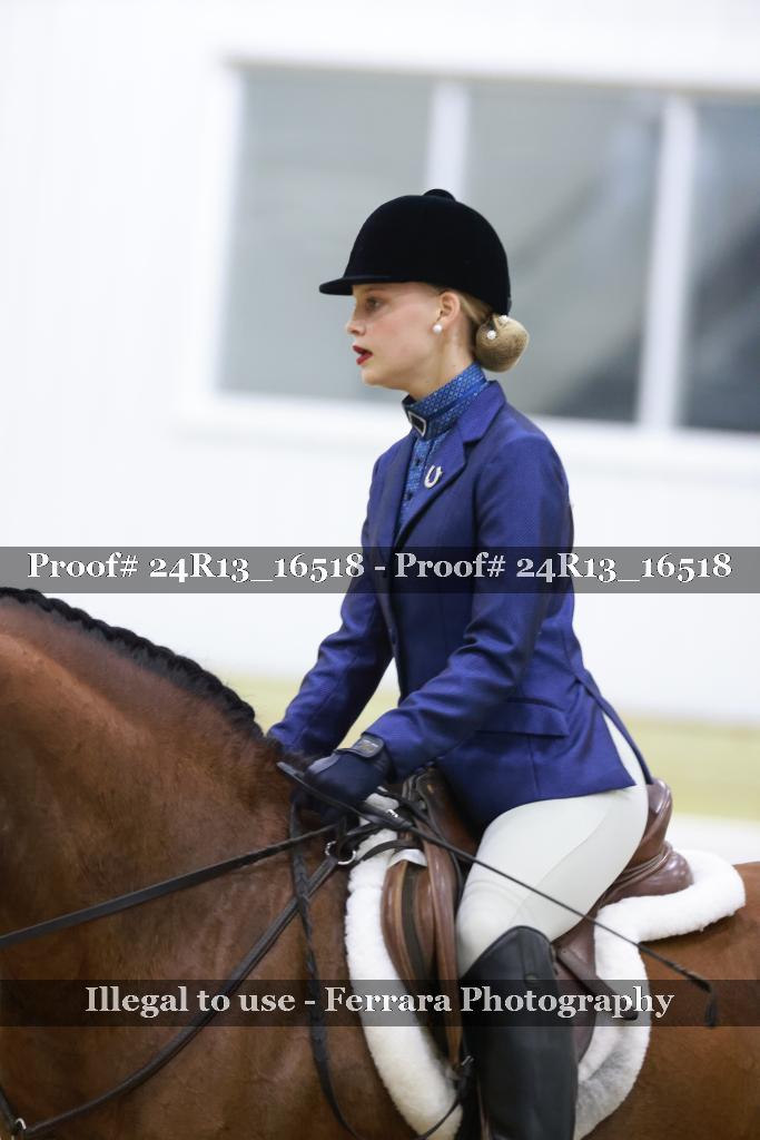 Proof 24R13_16518