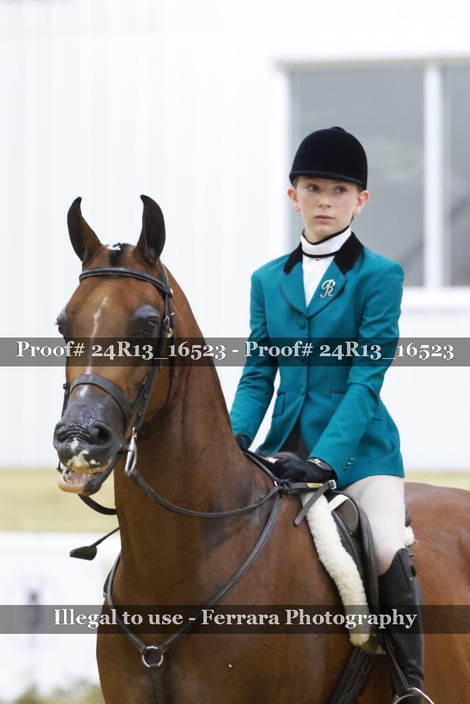Proof 24R13_16523