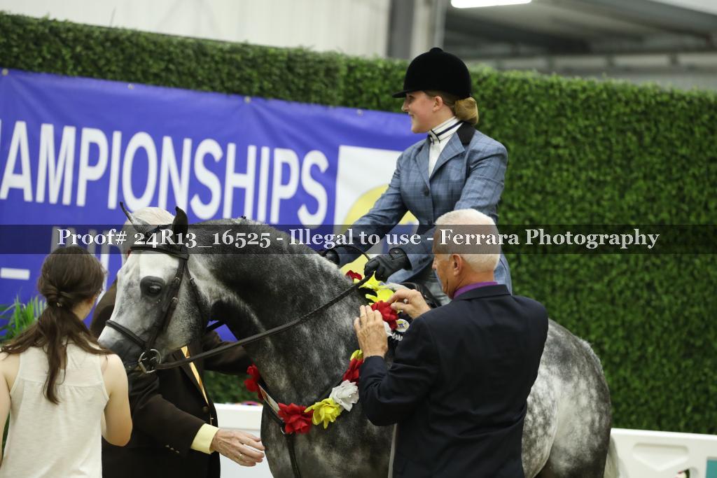 Proof 24R13_16525