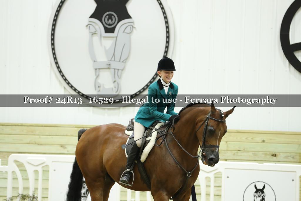Proof 24R13_16529