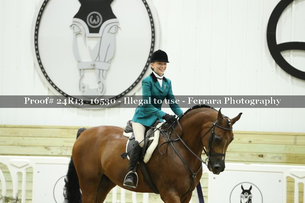 Proof 24R13_16530