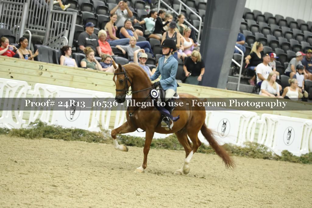 Proof 24R13_16536