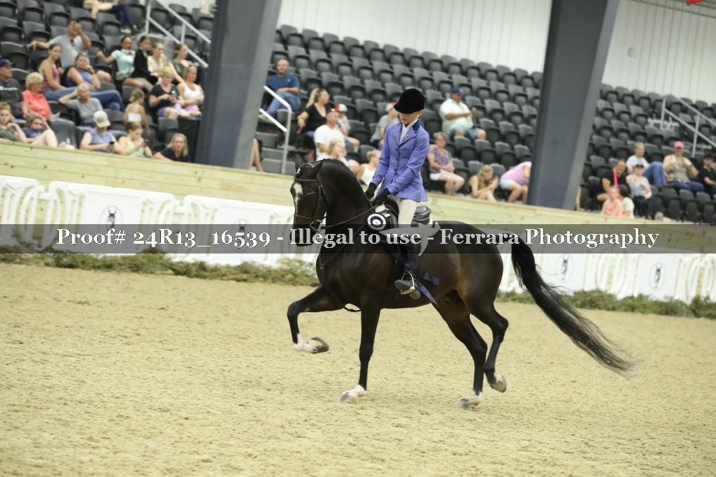 Proof 24R13_16539