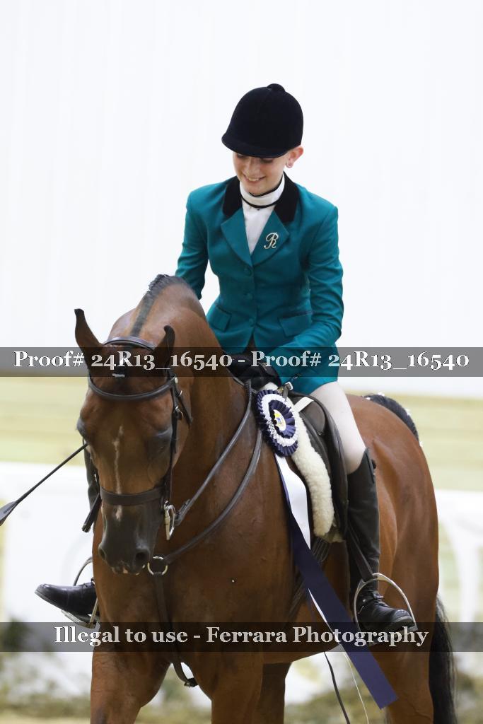 Proof 24R13_16540