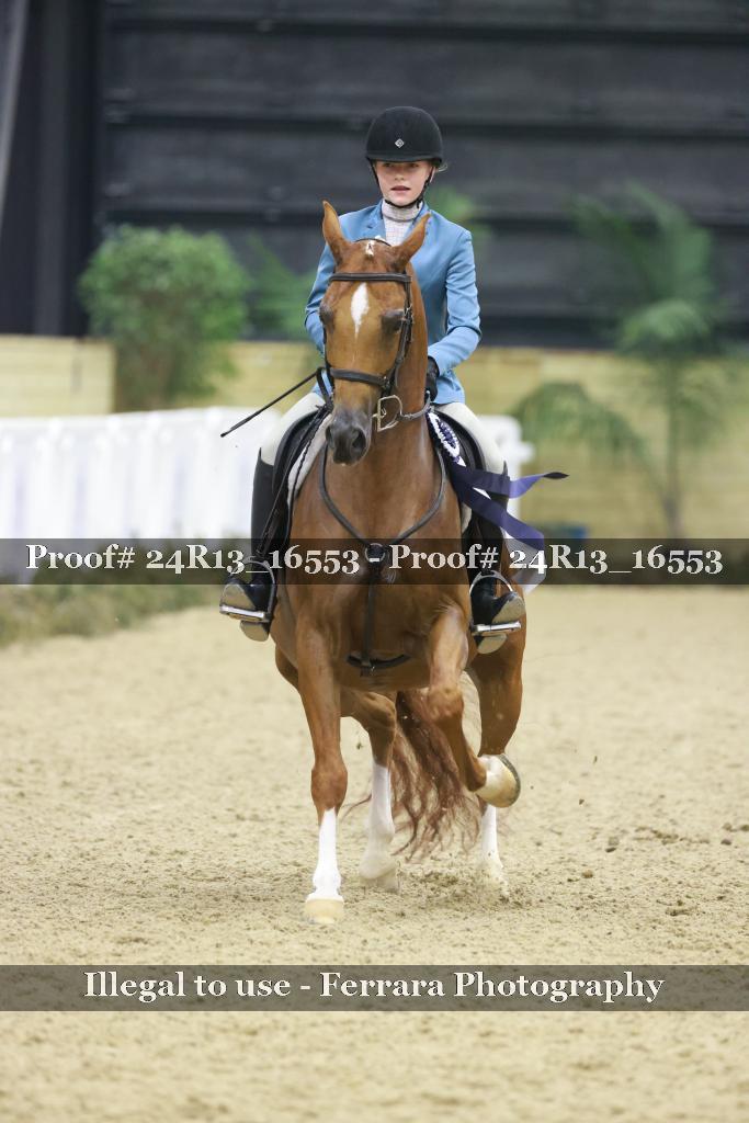 Proof 24R13_16553
