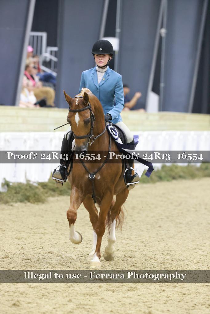Proof 24R13_16554