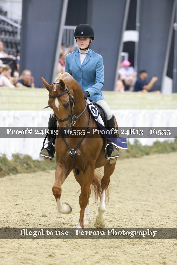 Proof 24R13_16555