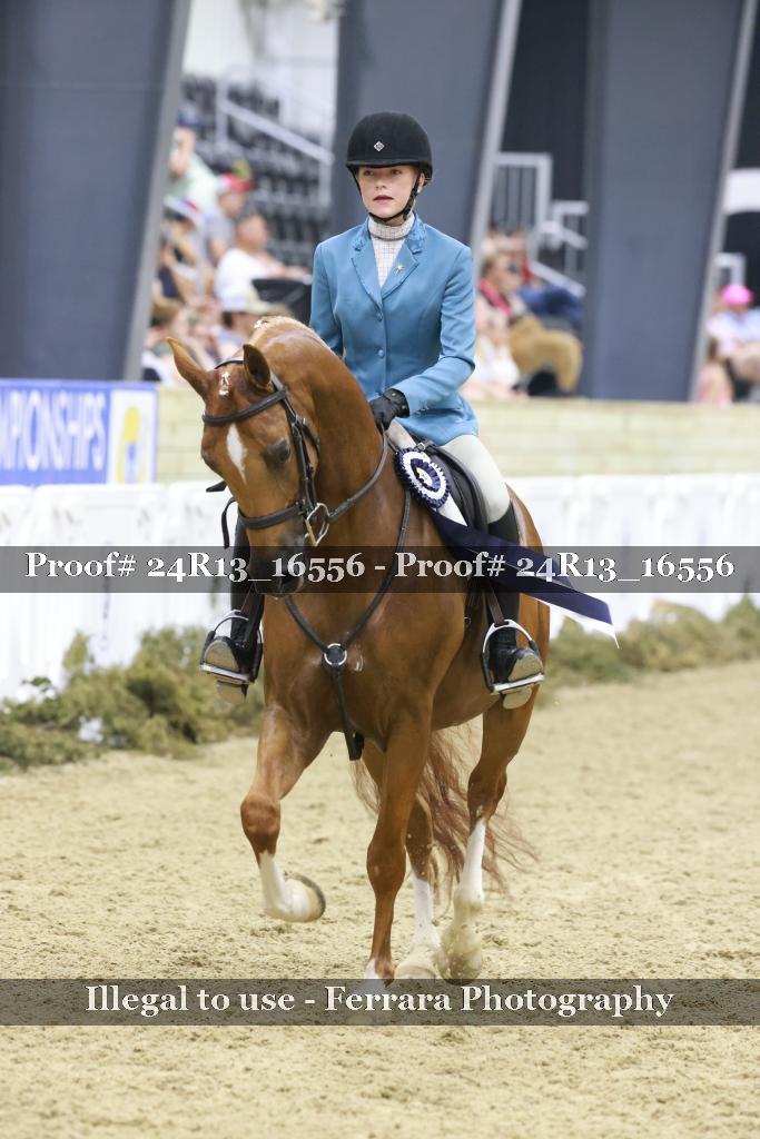 Proof 24R13_16556