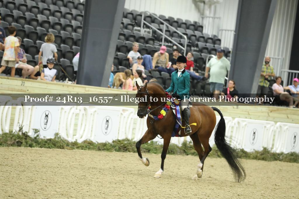 Proof 24R13_16557