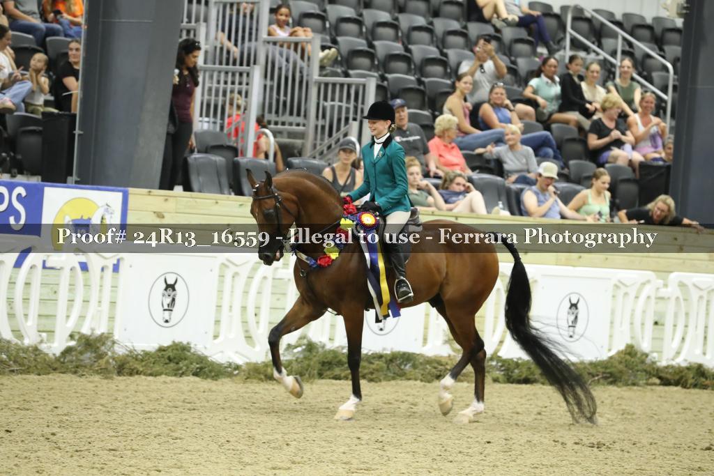 Proof 24R13_16559