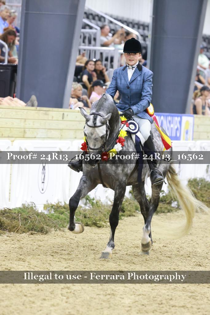 Proof 24R13_16562