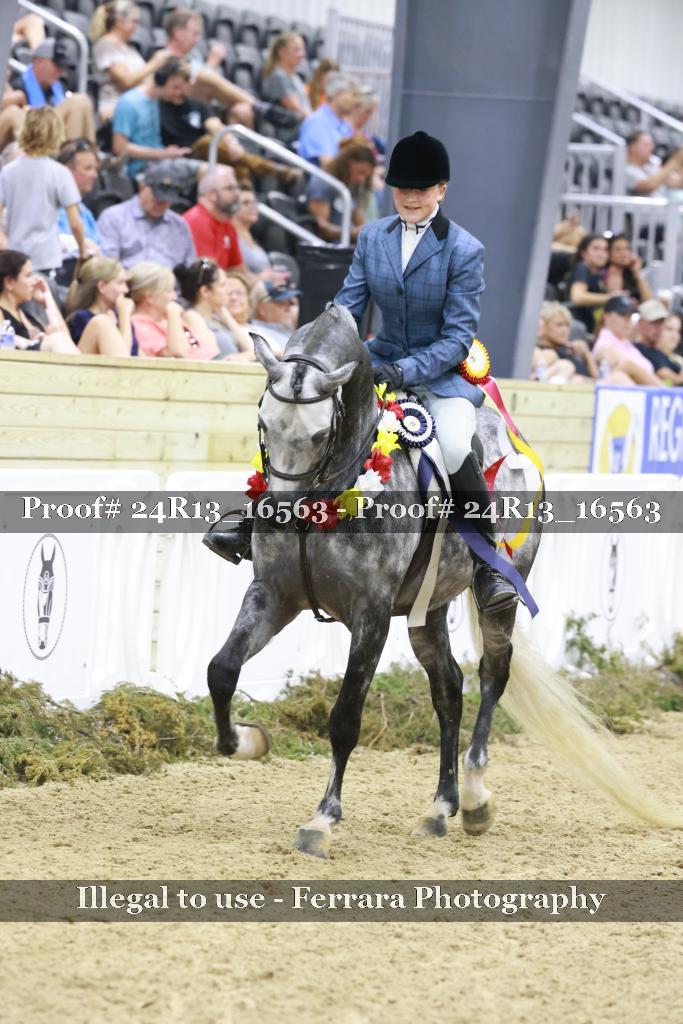 Proof 24R13_16563