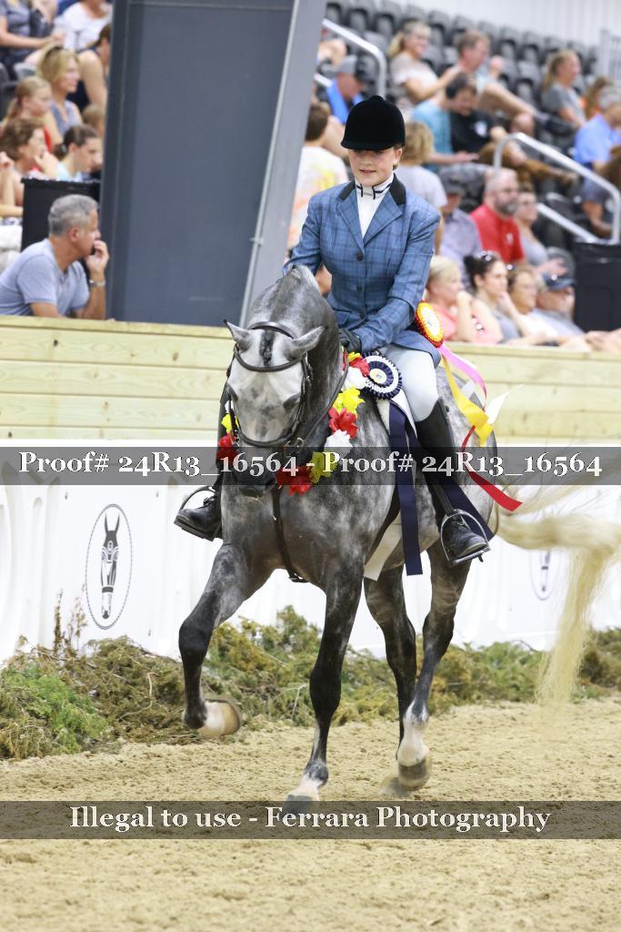 Proof 24R13_16564