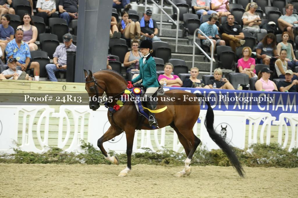 Proof 24R13_16565