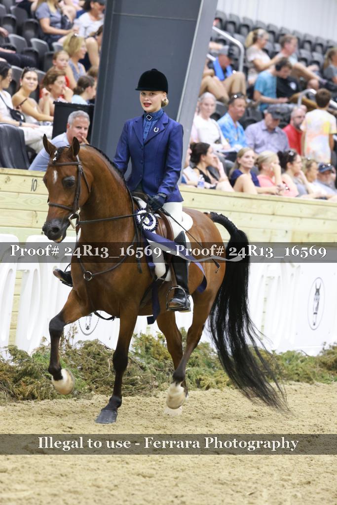Proof 24R13_16569