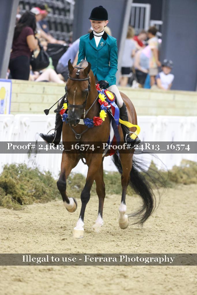 Proof 24R13_16574