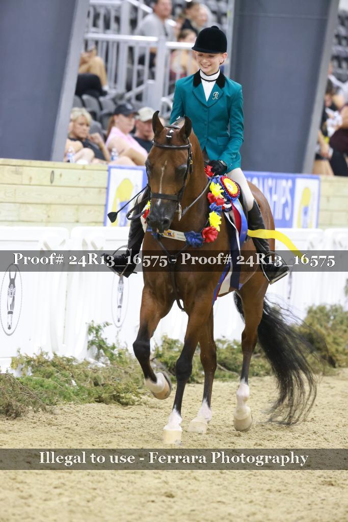 Proof 24R13_16575