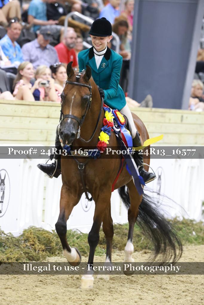 Proof 24R13_16577