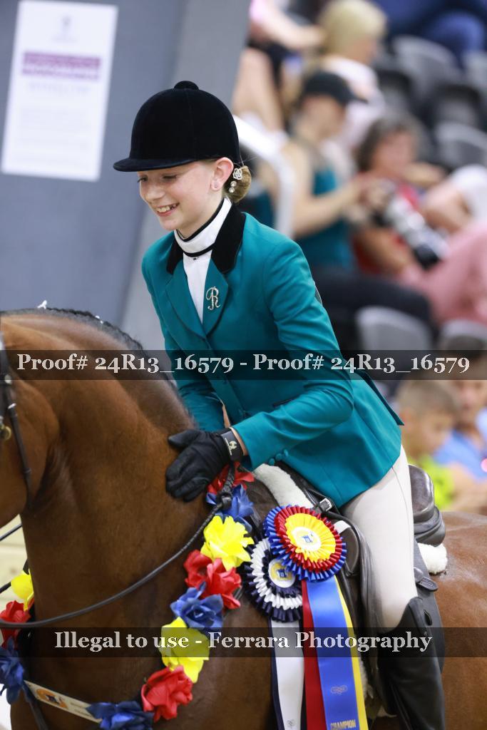 Proof 24R13_16579