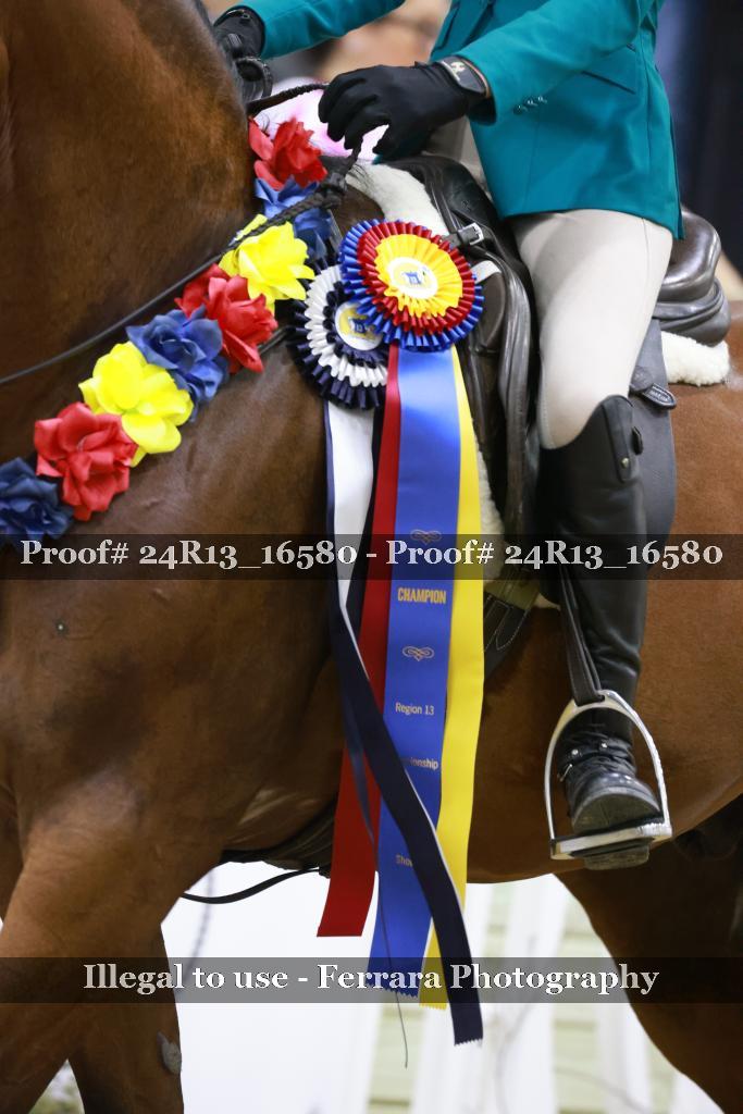 Proof 24R13_16580