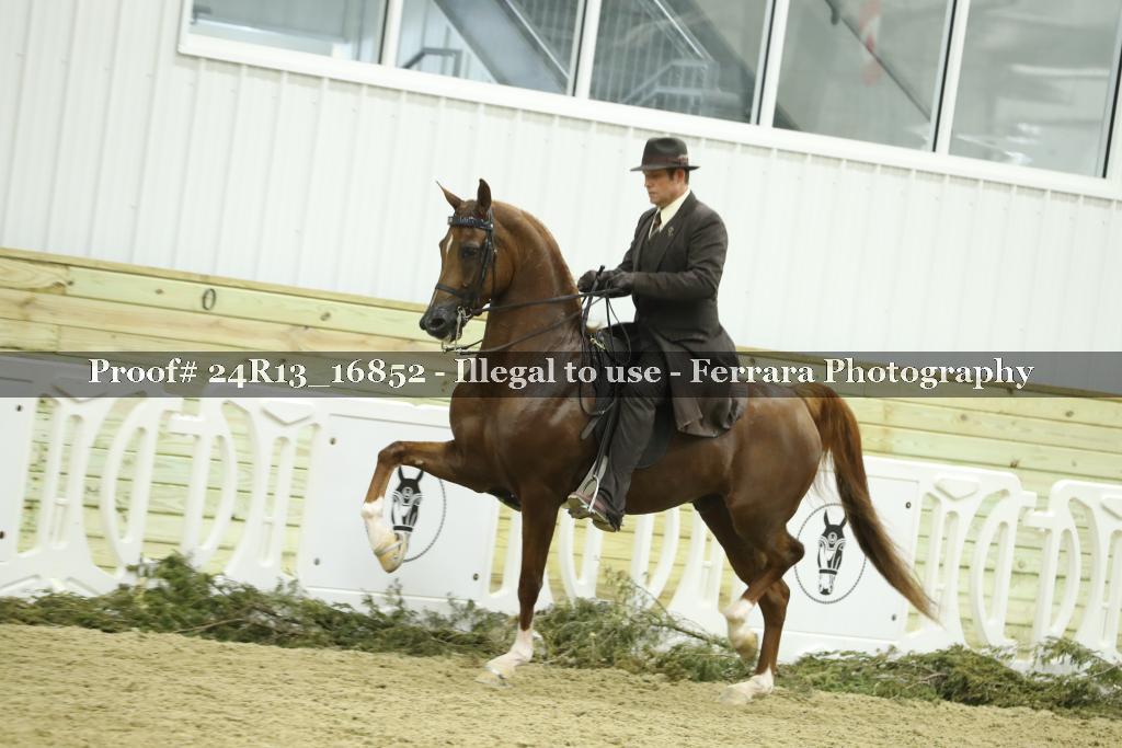 Proof 24R13_16852