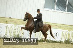 24R13_16853 proof