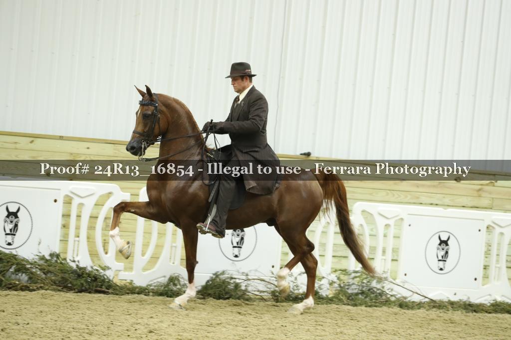 Proof 24R13_16854