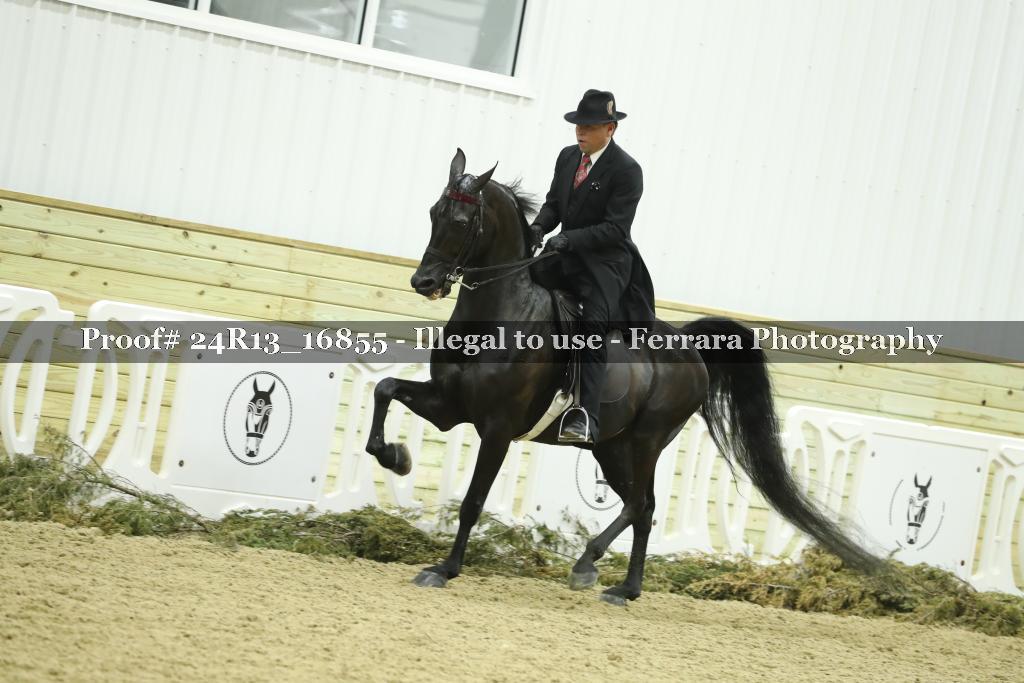 Proof 24R13_16855