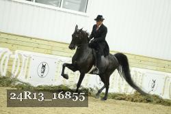 24R13_16855 proof