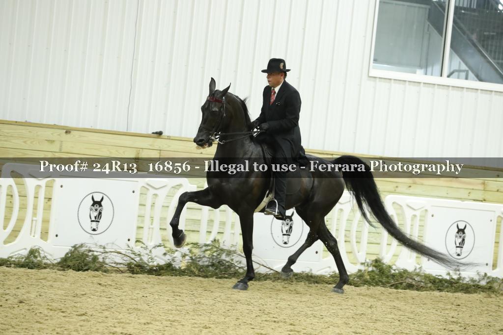 Proof 24R13_16856