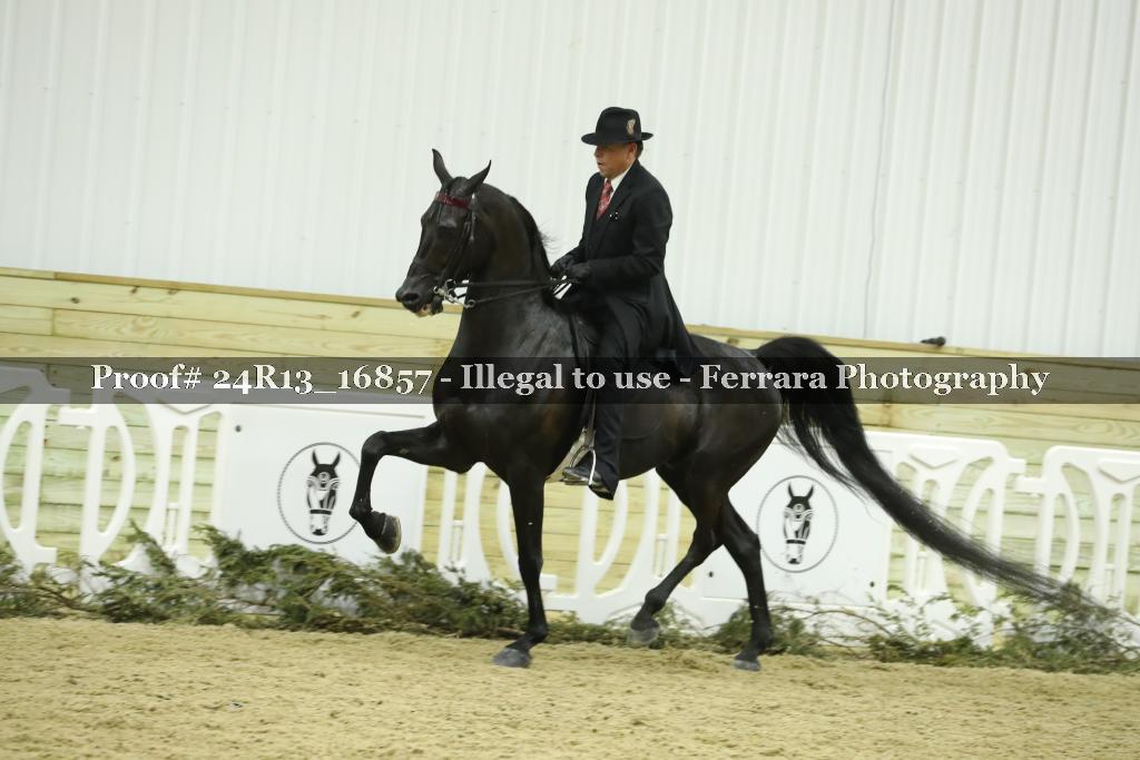 Proof 24R13_16857