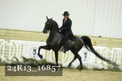 24R13_16857 proof