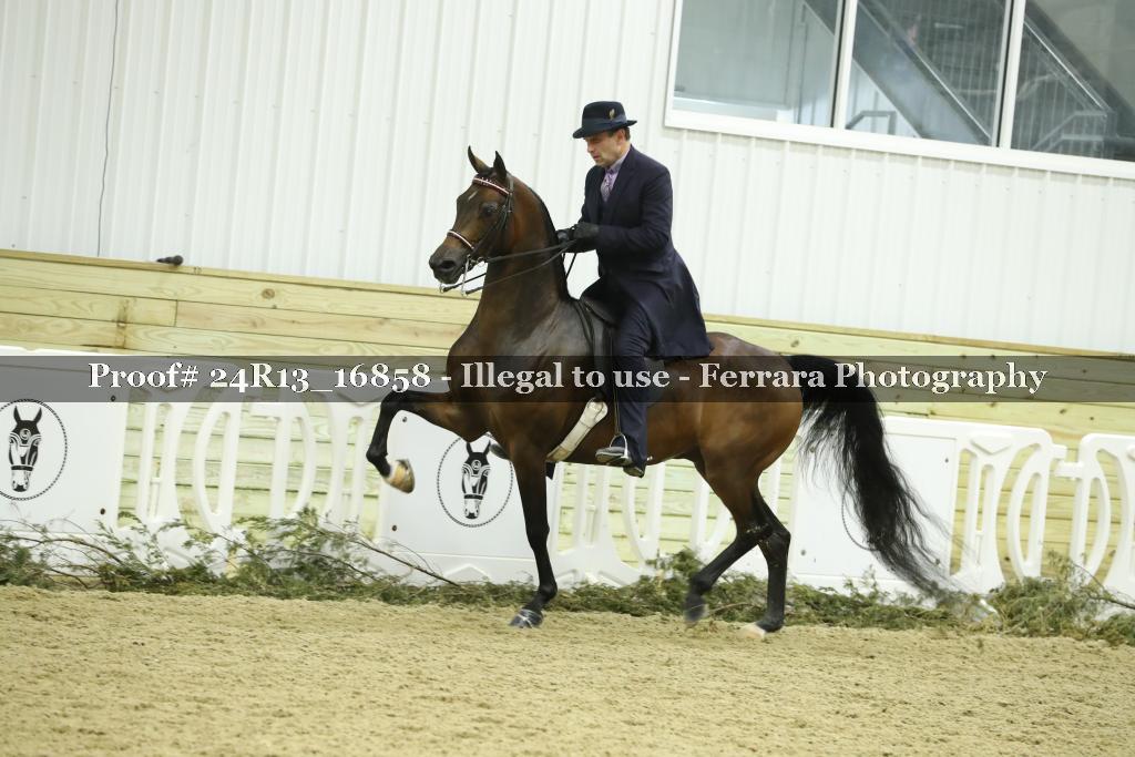 Proof 24R13_16858