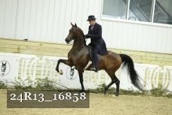 24R13_16858 proof