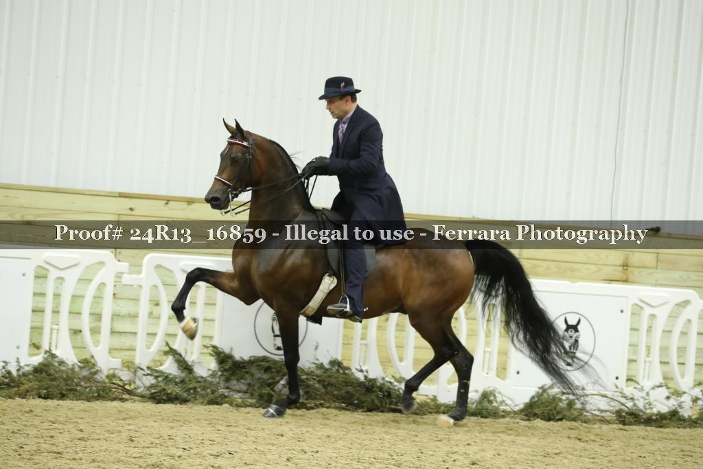 Proof 24R13_16859