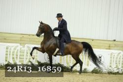 24R13_16859 proof