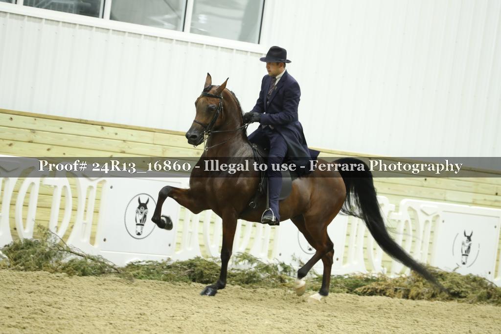 Proof 24R13_16860