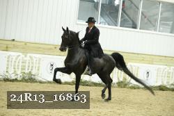 24R13_16863 proof