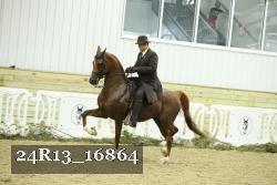 24R13_16864 proof