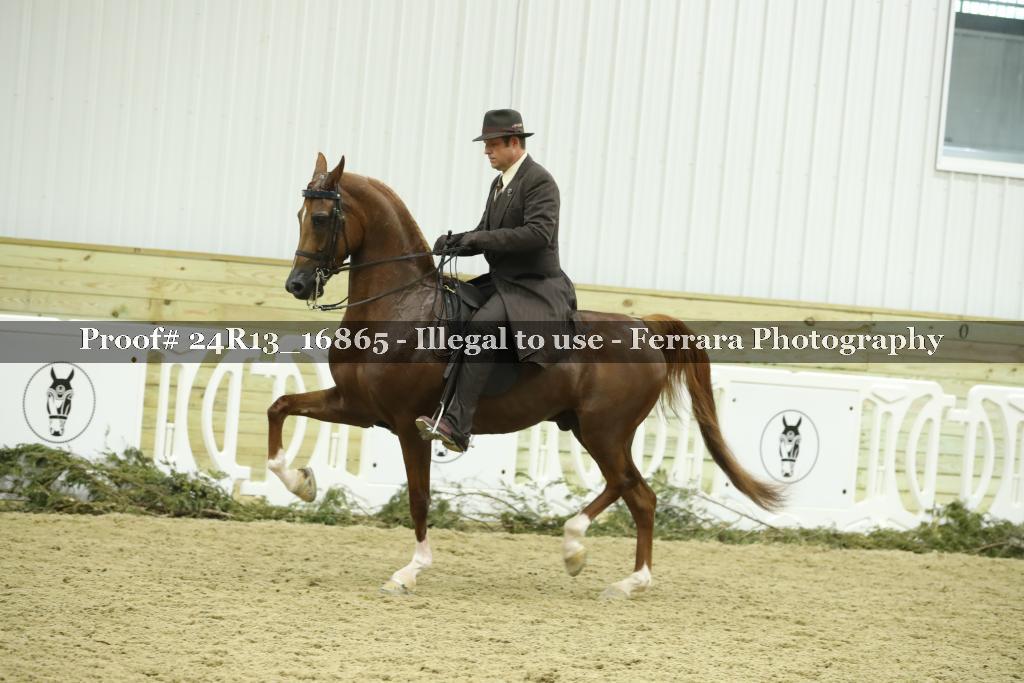 Proof 24R13_16865