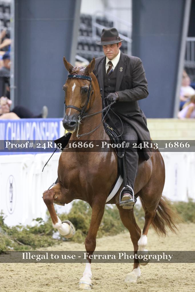 Proof 24R13_16866