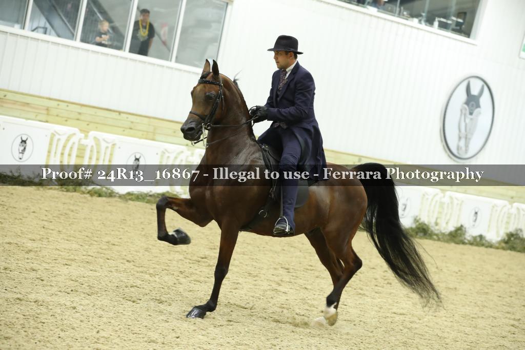 Proof 24R13_16867