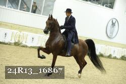 24R13_16867 proof