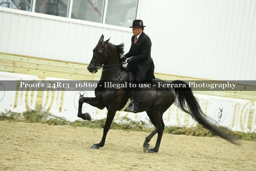 Proof 24R13_16869